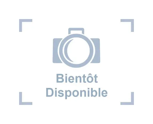 iPhone 15 Plus - 128 Gb - Noir - Parfait état